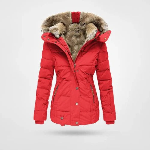 Women's Lined Padded Jacket with Hood
